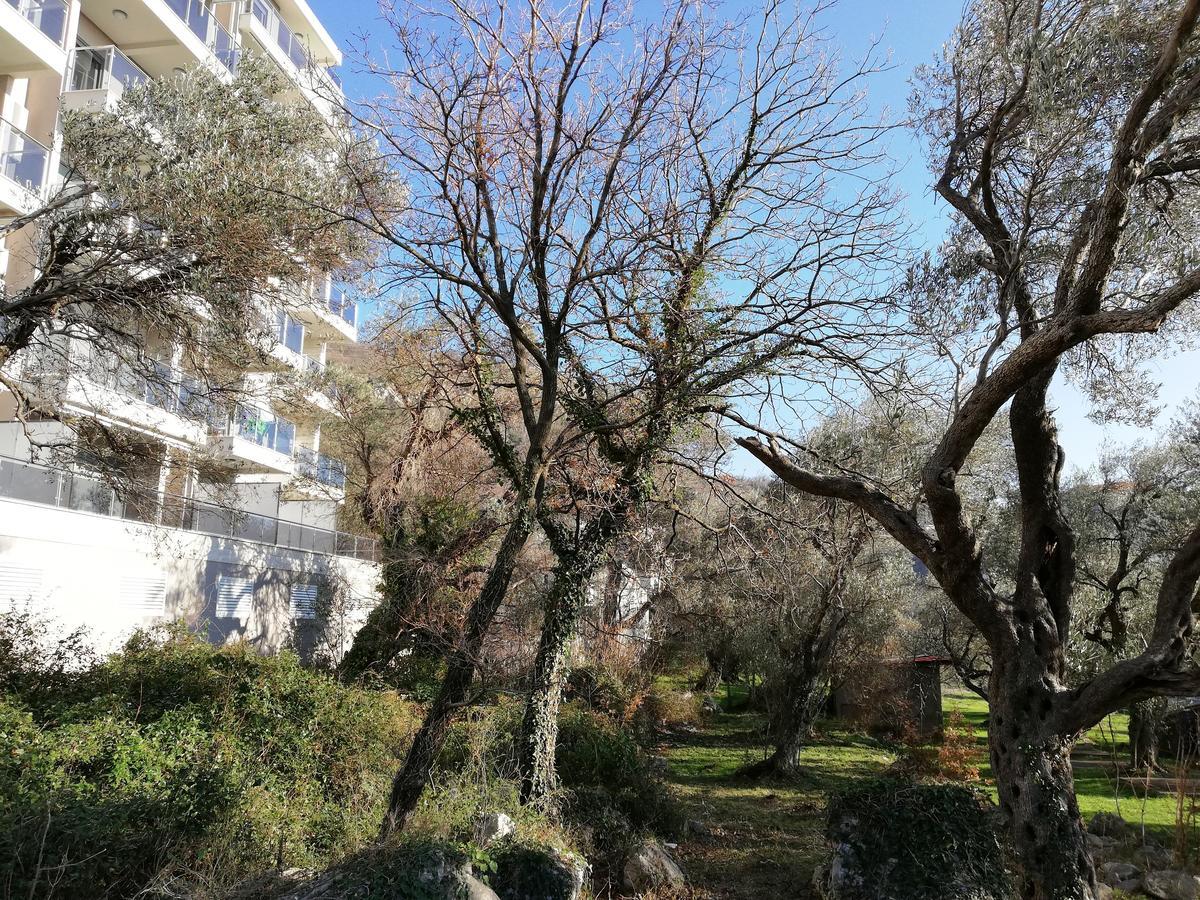 Apartment Olive Montenegro Ko Becici