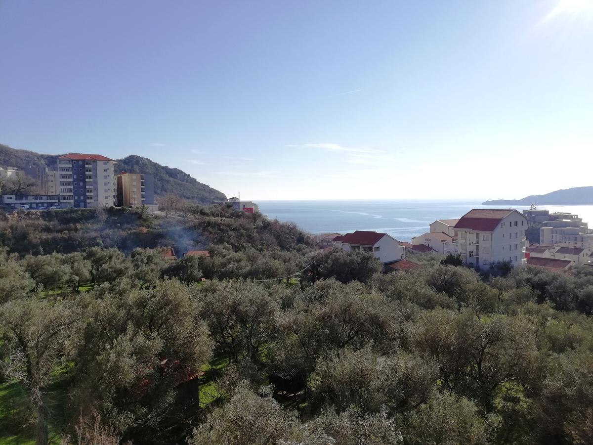 Olive Montenegro Ko Becici Apartment